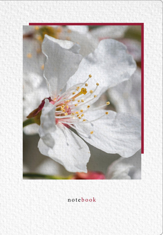Natur verlag Notizbuch – A5 – punktiert – 80 g/m² – gebunden, abgerundete Ecken, Lesebändchen – bordeaux – FSC