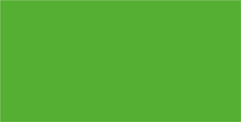Folia Fotokarton – grasgrün – A4, 300 g/m², 50 Bogen