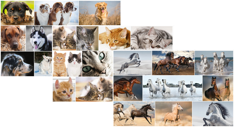 HERMA Schreibunterlage Animals – Katze – 550 × 350 mm – Kunststoff, rutschfest