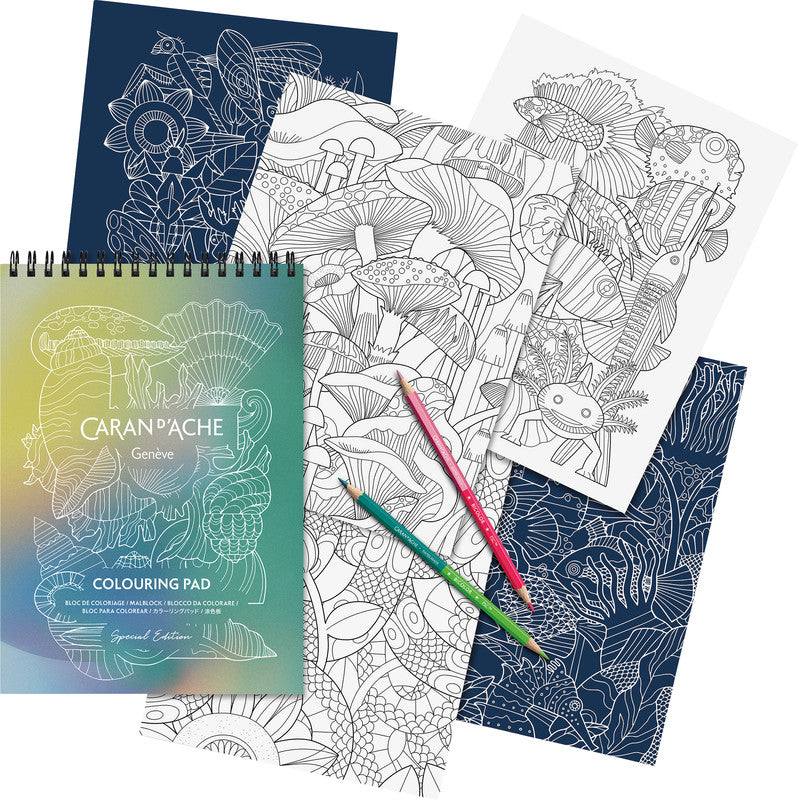 Caran d-Ache Caran d'Ache Aquarellfarbstifte Claim your Style Limited Edition – 12 Farben, im Kartonetui, Ø 2,8 mm, FSC