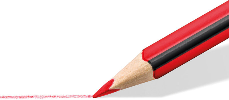 Staedtler Buntstifte Noris colour Upcycling – 12 Farben, im Kartonetui, sechskantig, PEFC