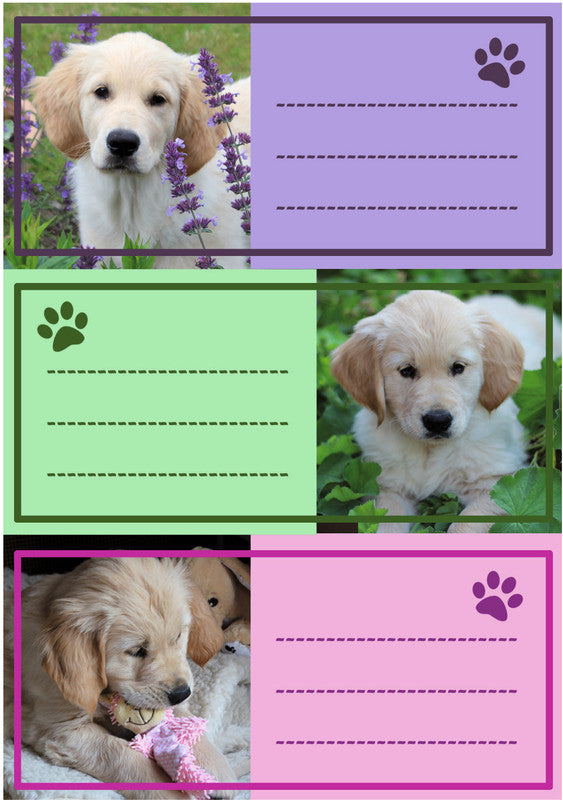 HERMA Vario Schuletiketten – Motiv Hunde – 35 × 76 mm, 9 Stk, 3 Bogen, Papier, permanent haftend