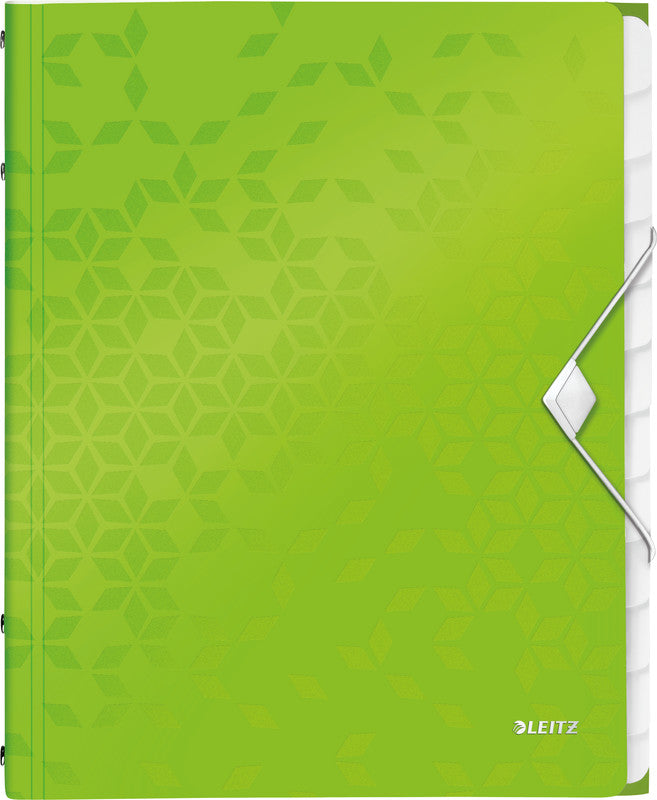 Leitz Sammelmappe für A4, Kunststoff, grün