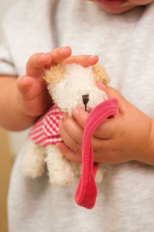 Egmont Plüschtier Hund Eliot – 11 cm – mehrfarbig