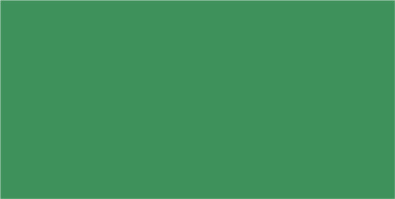 Folia Zeichenpapier, 130 g/m², 10 Blatt, Moosgrün, Strukturiert, Säurefrei, Holzfrei, Recyclingfähig