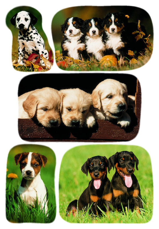 HERMA Schmucketiketten – Hundewelpenfotos – 15 Stück – permanent – mehrfarbig