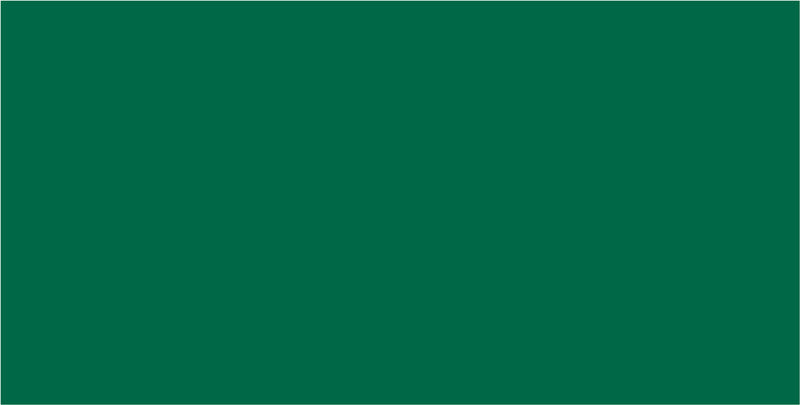 Folia Zeichenpapier, 130 g/m², 10 Blatt, Tannengrün, Strukturiert, Säurefrei, Holzfrei, PEFC, Der Blaue Engel