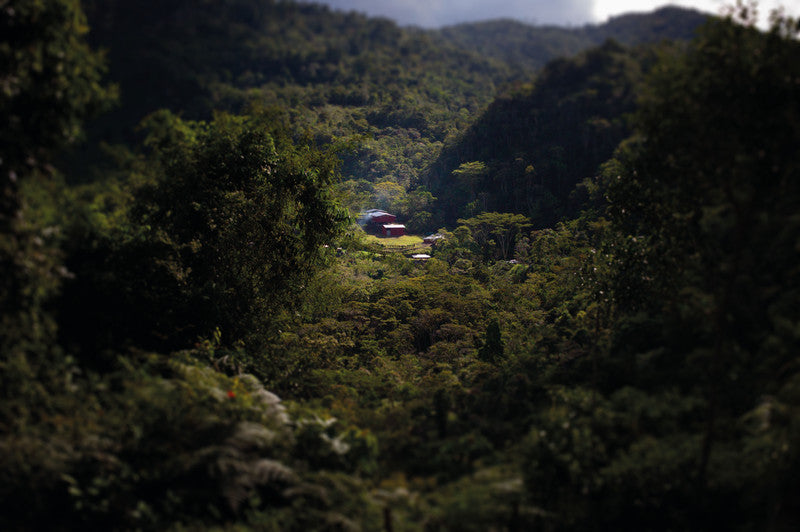 Tropical Mountains Kaffeekapseln Capitano Espresso – für Nespresso – Intensität 9/12 – 100 Kapseln