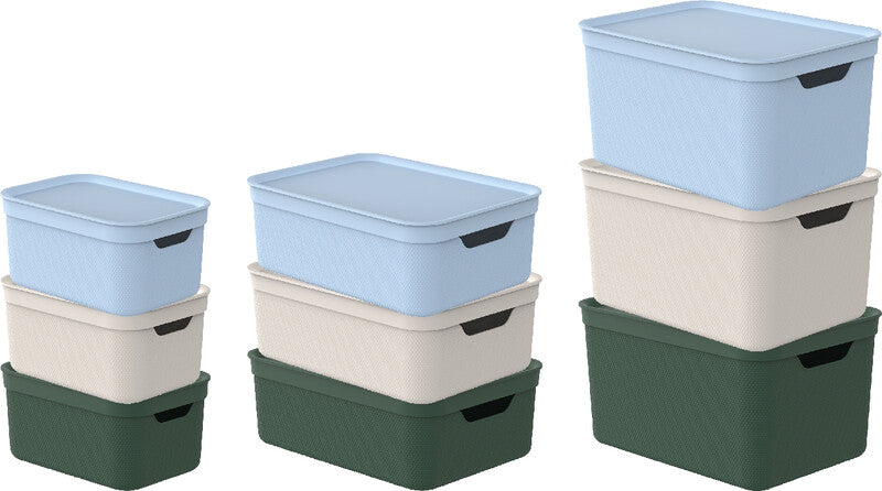 Rotho Alvra Aufbewahrungsbox 10 l (mit Deckel) – Kunststoff – Hellblau – für A4 – 265 × 133 × 365 mm