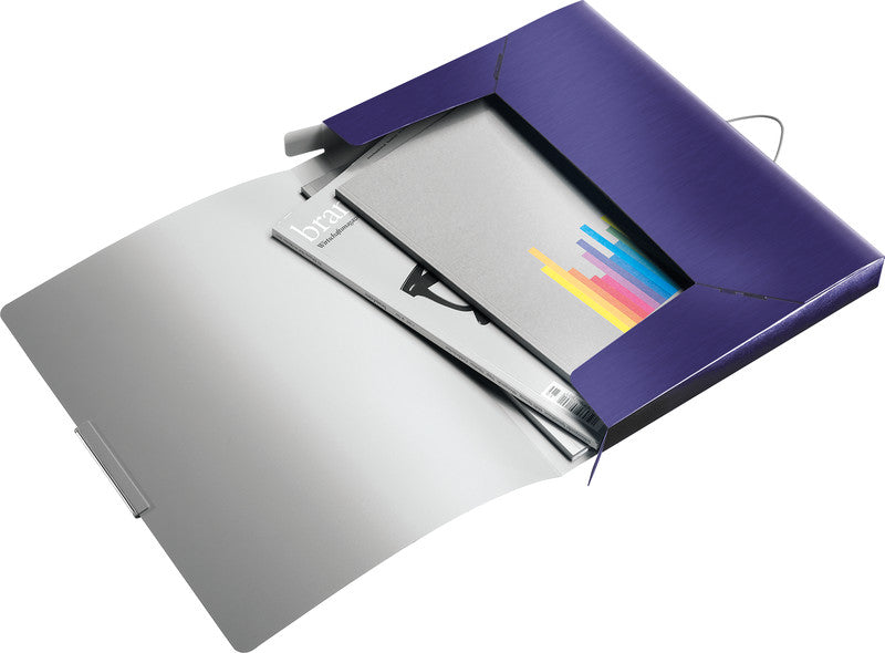Leitz Aktenordner 250 Blatt – Violett, Kunststoff