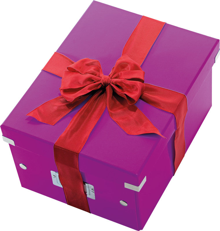 Leitz Aufbewahrungsbox, Violett, Kunststoff (PP)