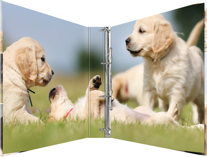 HERMA Zeigebuch Animals – A4 Hochformat – 4-Ring Bügelmechanik, 35 mm Rücken – Mehrfarbig, mit Niederhalter