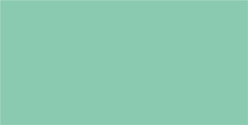 Folia Fotokarton matt – Mint – 70 × 100 cm, 1 Bogen