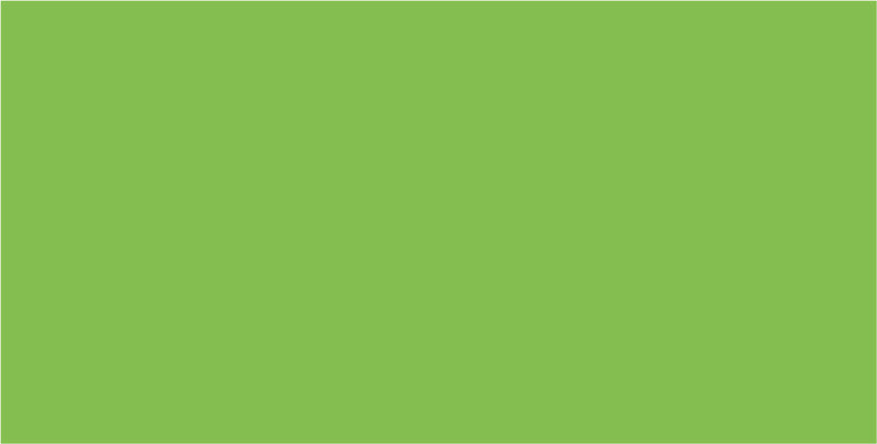Folia Fotokarton – 700 × 1000 mm – 300 g/m² – hellgrün – 1 Blatt