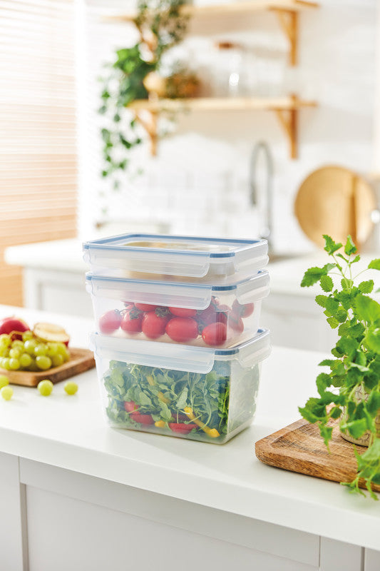 Rotho Kühlschrankdose Clic & Lock – 2 l – rechteckig – 23,9 × 9,2 × 16 cm – PP – transparent