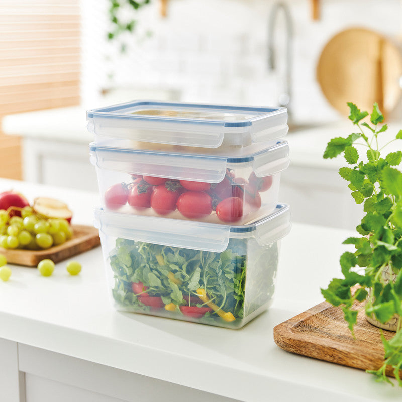 Rotho Kühlschrankdose Clic & Lock – 3 l – rechteckig – 23,9 × 13,6 × 16 cm – Kunststoff – transparent