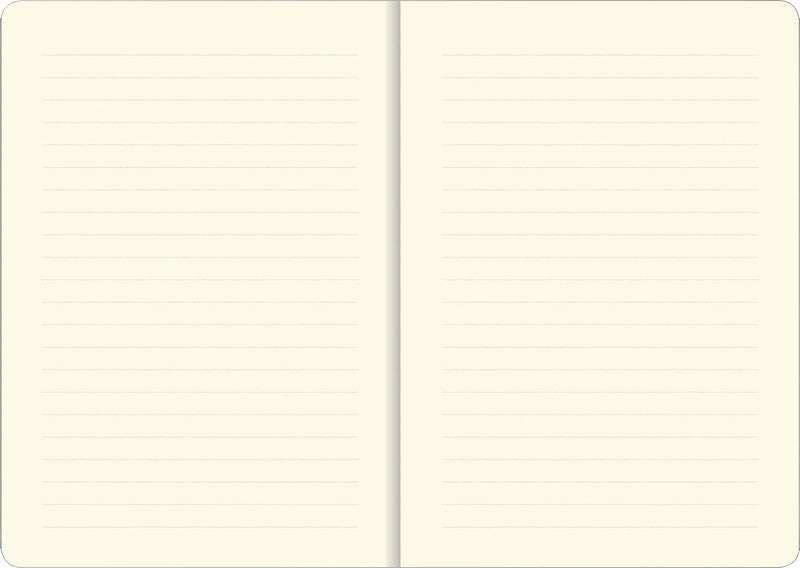 Peter pauper Notizbuch Midi, 160 × 210 mm, liniert, Hardcover, 160 Seiten, 120 g/m² – mehrfarbig