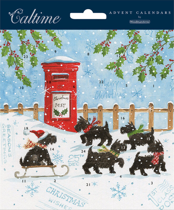 Caltime Adventskalender für Hunde, Karton, sortiert, 16 × 16 cm, recyclingfähig – eco:plus