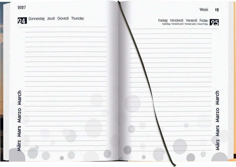 Biella mydiary Schüleragenda – 1 Tag/Seite, gebunden, 12 × 16,5 cm, Aug–Jul, Palmen, FSC