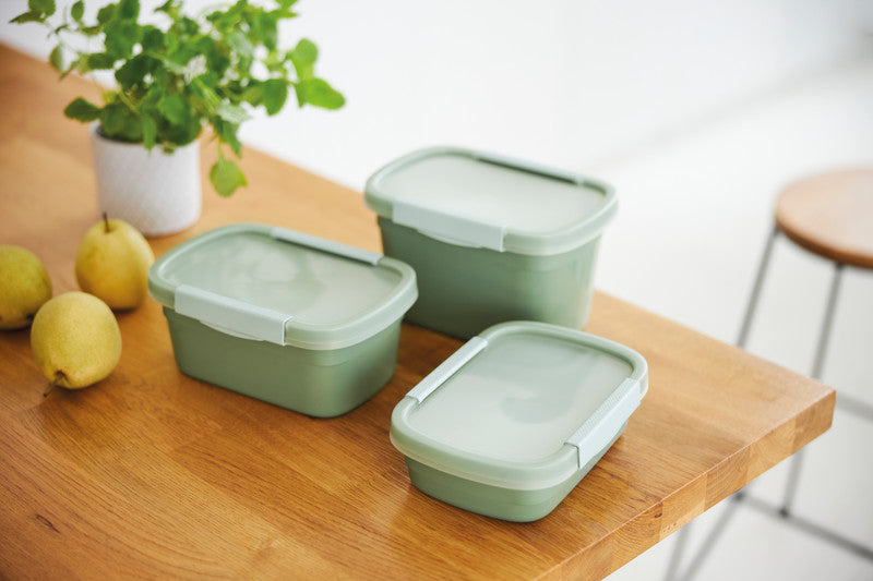 Rotho Kühlschrankdose Clic Eco – 1,5 l – rechteckig – 15 × 9,6 × 22 cm – Kunststoff – Grün