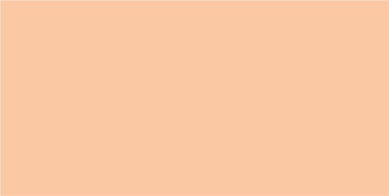 Folia Zeichenpapier 500 × 700 mm, 130 g/m², 10 Blatt, Apricot, Strukturiert, Säurefrei, Holzfrei, PEFC