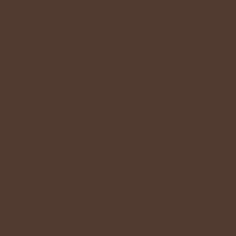 Royal Talens Amsterdam – Acryl Standard – Acrylfarbe – Gebrannte Umbra, 120 ml