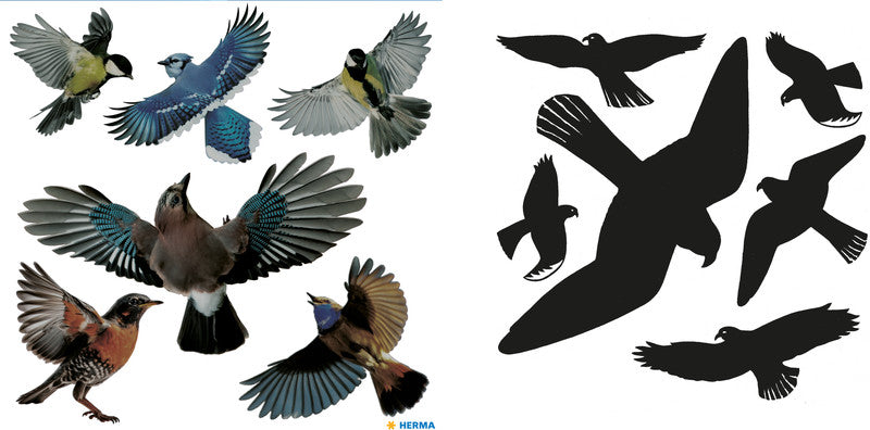 HERMA Warnschild – permanent, Vögel – 300 mm Höhe – mehrfarbig