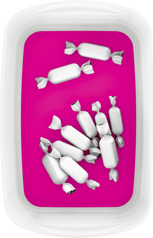 Leitz Aufbewahrungsschale MyBox – ABS-Kunststoff, weiss/pink metallic, 24,6 × 9,8 × 16 cm