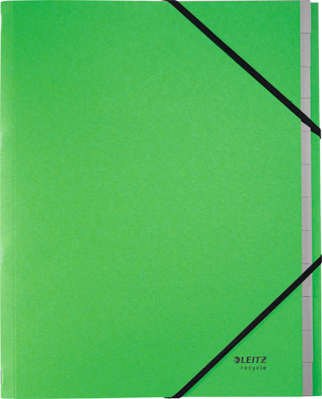 Leitz Trennblatt – Karton, Grün, 1 Stück